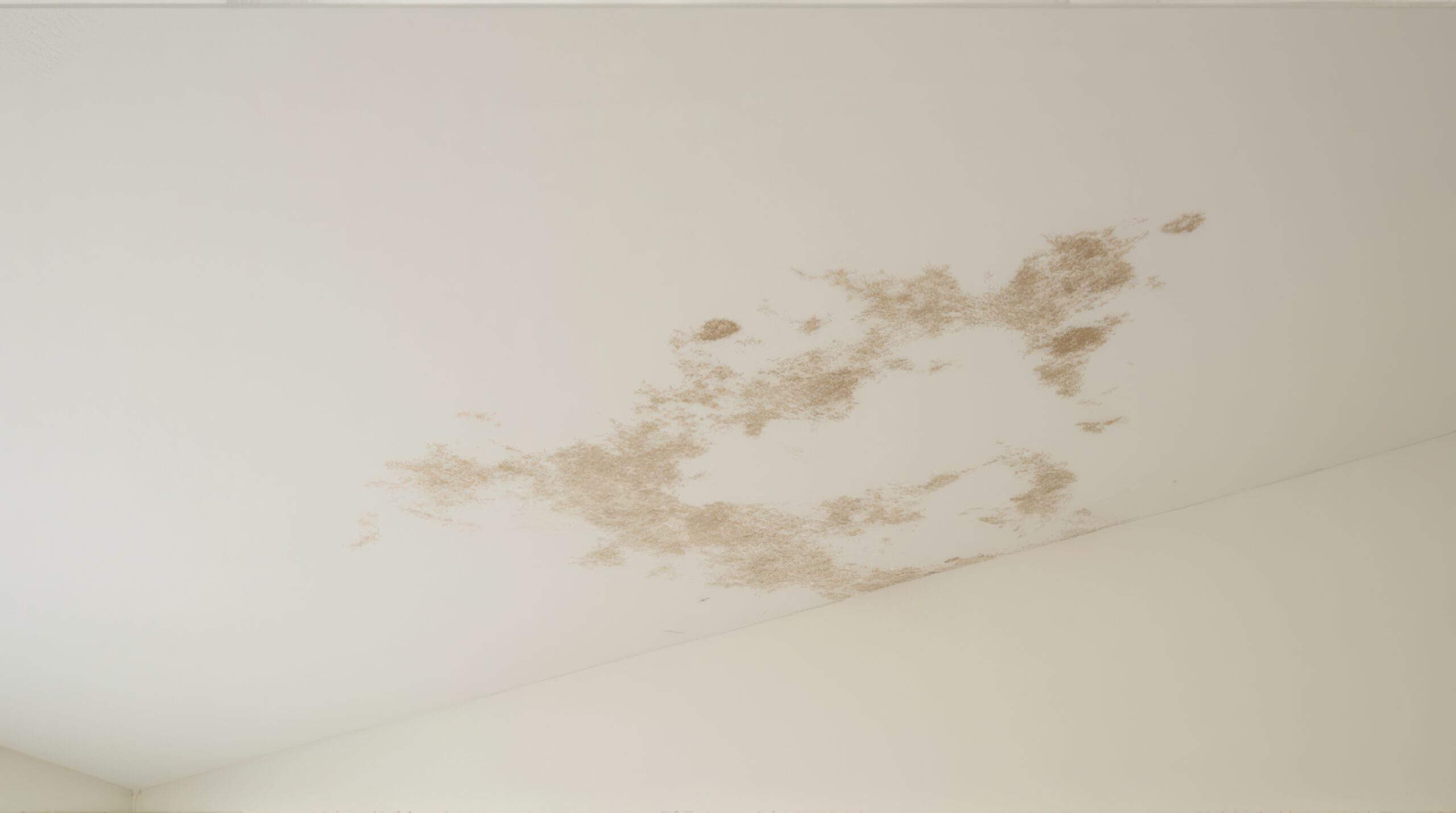 Water Stains on Your Walls or Ceilings
